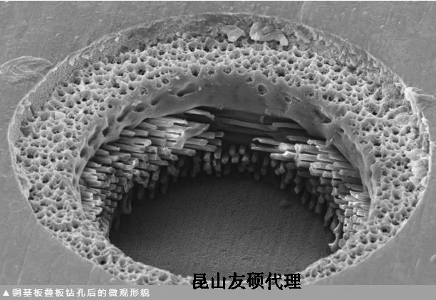 儋州蔡司儋州扫描电镜